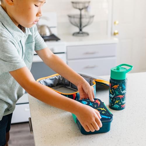 Wildkin Reusable Food Container for Kids – Jurassic Dinosaurs - color: Jurassic Dinosaurs