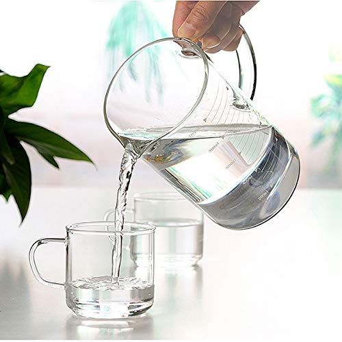 DayCount Glass Beaker with Handle and Lid, Glass Measuring Cup with Hand grip, Glass Measure Cup for Easy Visibility, Baking, Cooking, Pouring Liquid 34 Oz (1000ML)