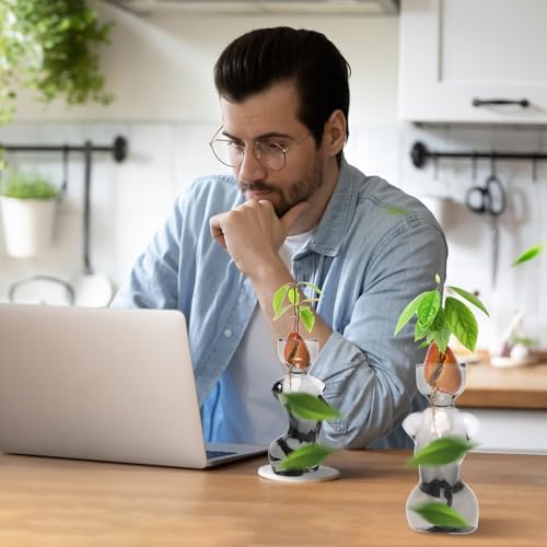 Plant Propagation Jars Unique Body Avocado Vase - color: Gray