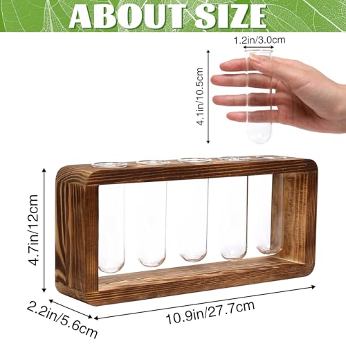 Glass Plant Propagation Station with 5 Test Tubes Planter Vase with Wooden