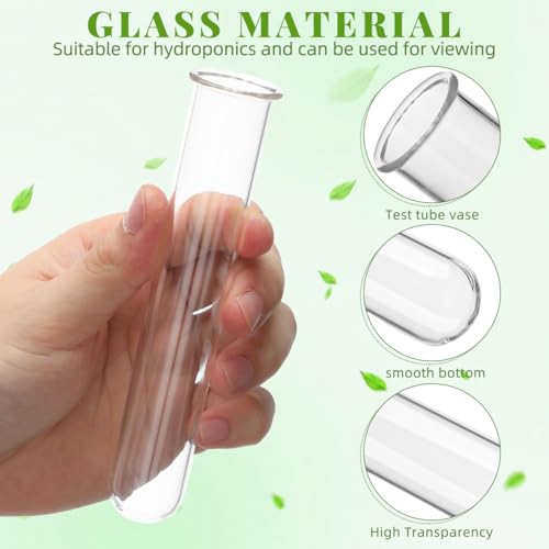 Glass Test Tubes for Plants with Reinforced Rim, 4 Piece Clear 5.9" x 1.2" Borosilicate Propagation Tubes Vase for Hydroponic Plant Starter, Cuttings and Flower Arrangement
