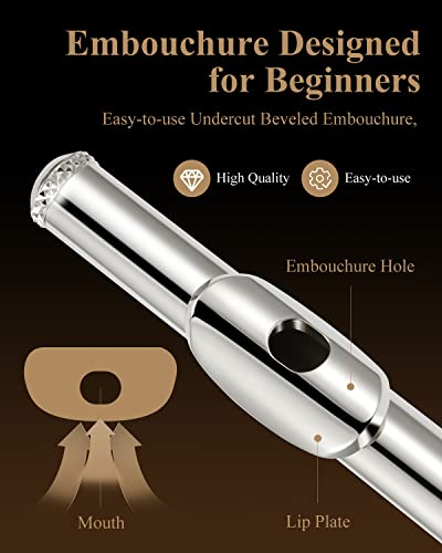 Eastar 16-Key Open Hole C Flute Kids Beginner, Silver Full Kit, EFL-2 - color: Silver