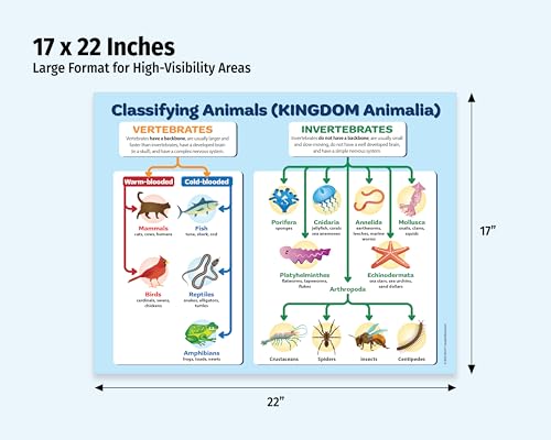 ZOCO – Animal Kingdom Classification Posters (20-Pack) – Vertebrates & Invertebrates Biology Chart, Laminated 17 × 22, for Middle & High School Science Classrooms - size: 20 Pack - 22L" x 17W"