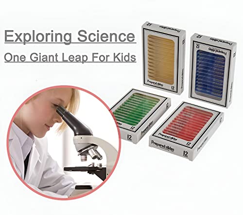 48pcs Microscope Slides with Specimens for Kids – Kids Prepared Stereo Microscope Slides for Stereo Microscope and Other, Animals Insects Plants Flowers Specimens - size: 48pcs