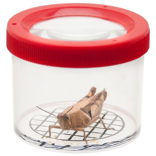 EISCO Round Bug Viewer with Magnifier Lid - 4X