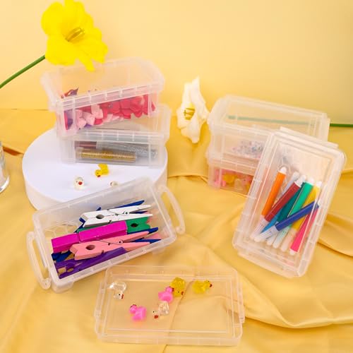 Small Plastic Box, Clear Mini Storage Bins, Stackable Tote with Lid-6 - color: 6-clear