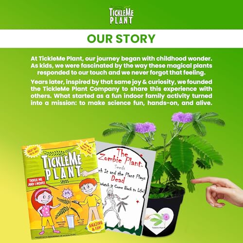 TickleMe Plant Get Well Soon Kit (1 Pack) โ Grow A Tickle Me Plant that Reacts to Touch โ Leaves Fold Up When You Tickle Them โ Full Grow Kit of Sensitive Plants Seeds for Kids to Grow Indoors - style: Get Well Gift