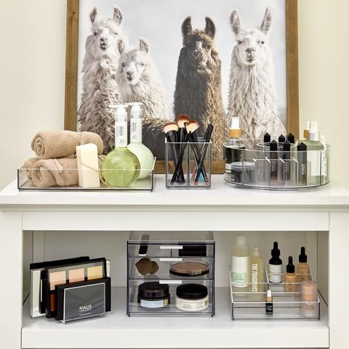 iDesign The Sarah Tanno Collection Plastic Cosmetics and Makeup Palette Organizer, 7-Compartment, Clear, 20.3 cm × 10.1 cm × 7.6 cm - size: 20.3 cm × 10.1 cm × 7.6 cm, style: Pallet Organizer
