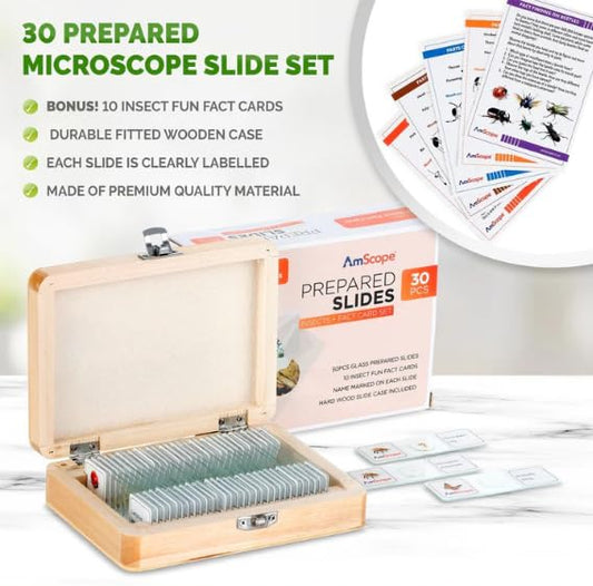 AmScope PS-INST Insects Glass Slides with 30 Specimen and 30 Slide Count