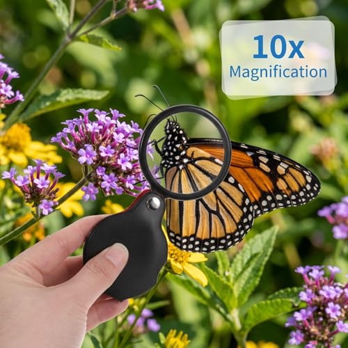 3Pcs Small Magnifying Glass for Kids Portable Pocket Magnifier