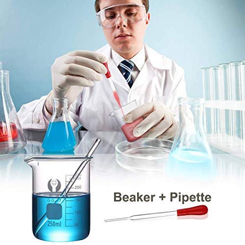 Glass Beakers Set 50/100/250/500/1000ml with 8Pcs Test Tubes