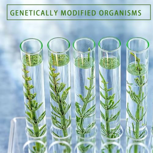 20Pcs Clear Plastic Test Tubes,25x160mm 50ml, Good Seal for Jewelry Seed Beads Powder Spice Liquid Storage, Lab Use or Decoration - size: 20pcs*50ml(25x160mm)