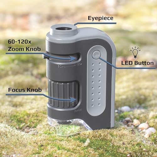 Carson MicroBrite Plus, 60x-120x LED Lighted Pocket Microscope |Portable Handheld Microscope STEM Toy - Mini Microscope for Student Science Lab, Educational Portable Microscope - Set of 4 (MM-300)