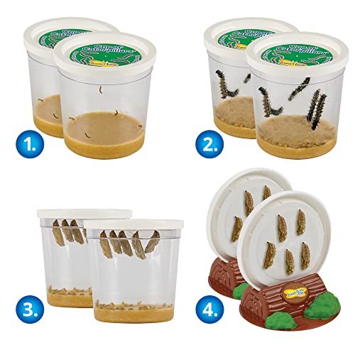 Butterfly Garden: Original Habitat and Two Live Cups of Caterpillars with Journal – Life Science & STEM Education – Butterfly Science Kit - Plus Butterfly Life Cycle Stages Figurines - style: Original Habitat