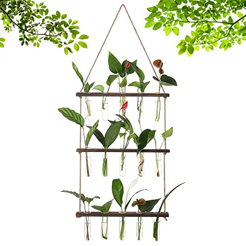 YIBOT Plant Propagation Stations with Wooden Stand 15 Glass Test Tubes Vase - color: Brown, size: 14"L x 14"W x 35"H