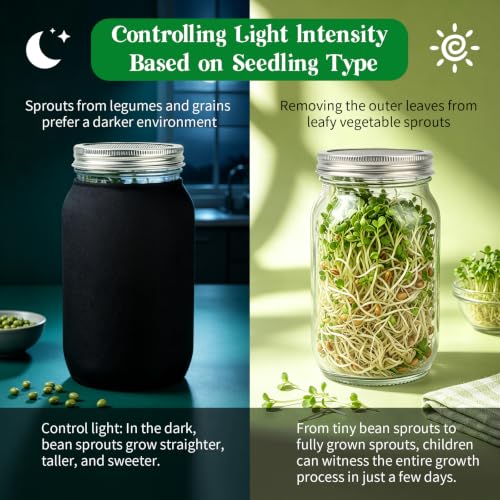 Seed Sprouting Jar Kit - 4 Wide Mouth Mason Jars with 316 Stainless Steel Sprouting Lids, 2 Drip Trays & 2 Stands, Complete Home Growing Set for Broccoli, Alfalfa, Beans, Wheatgrass (4 Jars)