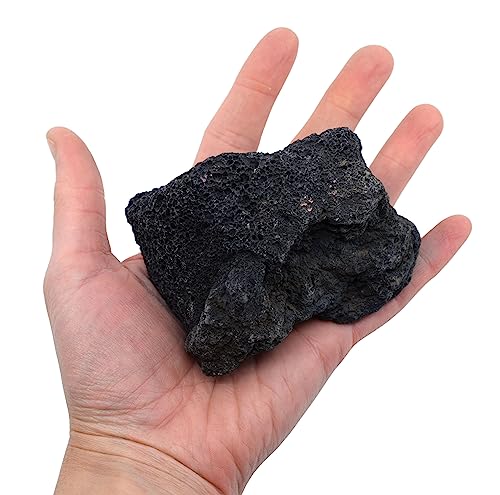 EISCO Raw Scoria, Igneous Rock Specimen - Hand Sample - Approx. 3" - Geologist Selected & Hand Processed - Great for Science Classrooms