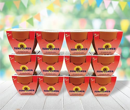 BUZZY Seeds Sunflower Grow Kit 12-Pack, Terracotta Pots, Wedding Favors - color: 12pk Sunflower