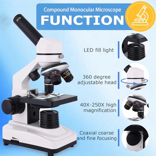 Microscope for Kids & Adults, 40X-2500X High-Power Compound Microscope for Students, School Lab & Home Schooling,Features Prepared Slides & Phone Holder - color: white