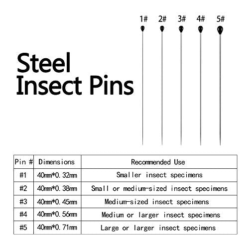WILLBOND 500 Pieces Stainless Steel Insect Pins Kit Specimen,5 Sizes - size: 5 Sizes