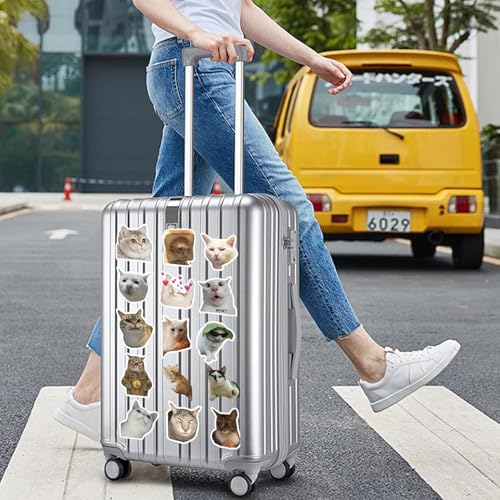 Feng Qi 100PCS Cute Cat Stickers, Funny Kitten Meme Stickers for Laptop Scrapbook Water Bottles Guitar Suitcase Journaling, Waterproof Vinyl Cat Decals for Teens Adults - color: Cat Meme