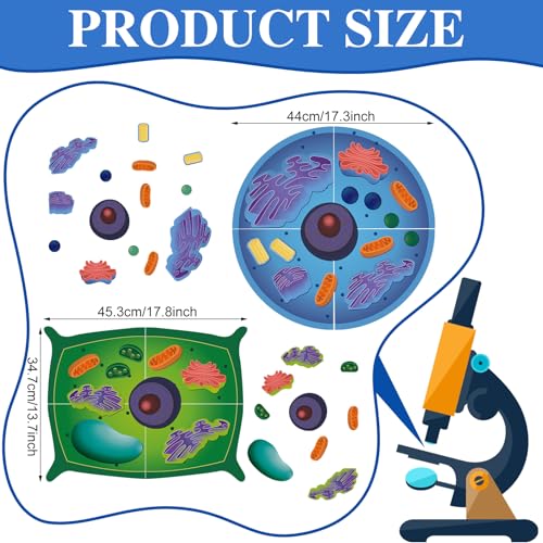 4 Set Magnetic Animal and Plant Cell Anatomy Biology Model Set