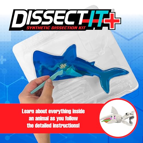 Dissect-It, Shark Dissection Kit, STEM Toys for Kids, Ages 6+