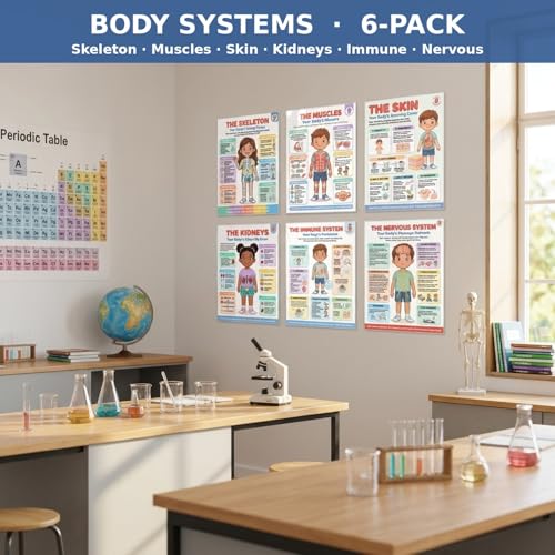 JELLY BEAN GENIUS Human Body Systems Posters Set of 6 – Laminated Dry-Erase Anatomy Charts for Classroom & Homeschool | Skeleton Muscles Kidneys Skin Nervous Wall Posters 8.5x11 - color: Human Body Systems Set of 6