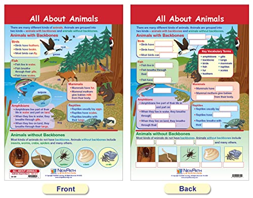 NewPath Learning-94-1501 All About Animals Bulletin Board Chart Set (Pack of 5)