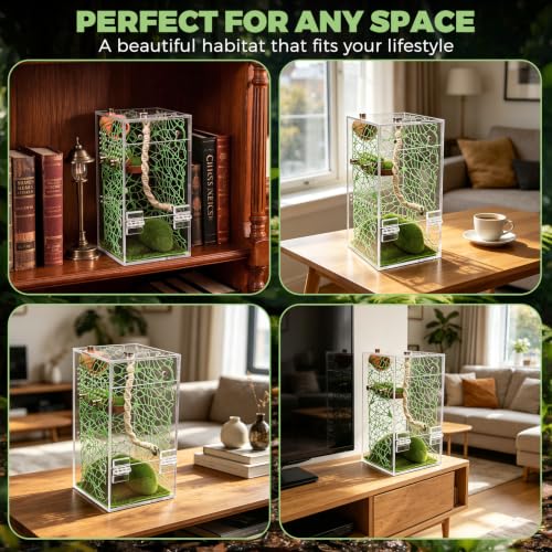 Jumping Spider Terrarium 4" x 4" x 8" DIY Habitat Kit - Forest - color: Green A