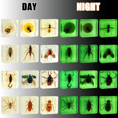 Insect Specimen Set, Bugs Collection Scientific Education Gift for Kids Aged 3-8-12 (12 Pack Glow-in-The-Dark) - style: 12 Pack Glow-In-The-Dark