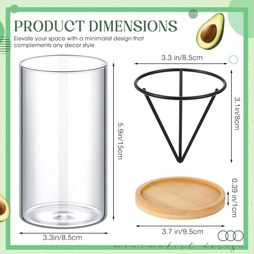 Baderke 6 Pcs Glass Avocado Tree Growing Kit Avocado Seed Starter Vase