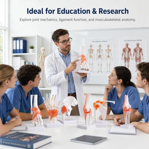 6Pcs Human Joint Anatomy Model Set with Ligaments