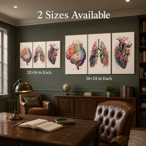 XCDVVAW Floral Anatomy Poster Wall Art Set of 3, Brain Lungs Heart with Flowers Canvas Prints, Unframed Medical Botanical Artwork, Modern Wall Decor for Clinic Office Bedroom Living Room - color: Flowers organs B, size: 16"L x 12"W
