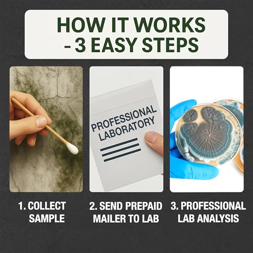 Evviva Sciences Mold Test Kit with US-Based Lab Analysis & Return Shipping Included | Screen Indoor Air, HVAC & Surfaces | Professional Mold Presence Detection | Includes Mold Information Guide