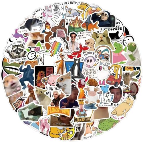 110 PCS Funny Stickers Prank Meme Stickers Pack Vinyl Waterproof Cool Decals for Laptop, Water Bottles, Hard Hats, Scrapbooking Decals for Teens Adults - color: Funny Meme