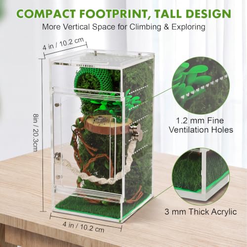 Jumping Spider Enclosure Kit, One-Piece Acrylic Spider Terrarium, 4x4x8 in
