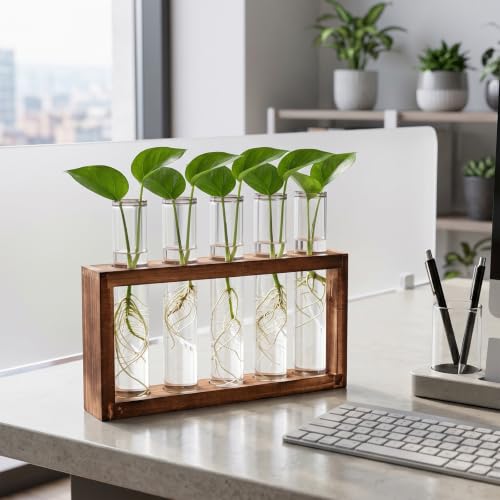 Tigvio Desktop Glass Plant Propagation Station (5 Tubes) - size: 5 Tubes