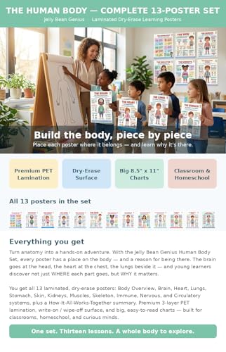 JELLY BEAN GENIUS Human Body Posters Complete Set of 13 – Laminated Dry-Erase Anatomy Charts for Classroom & Homeschool | Organs Systems Science Educational Wall Posters 8.5x11 - color: Human Body Complete Set of 13