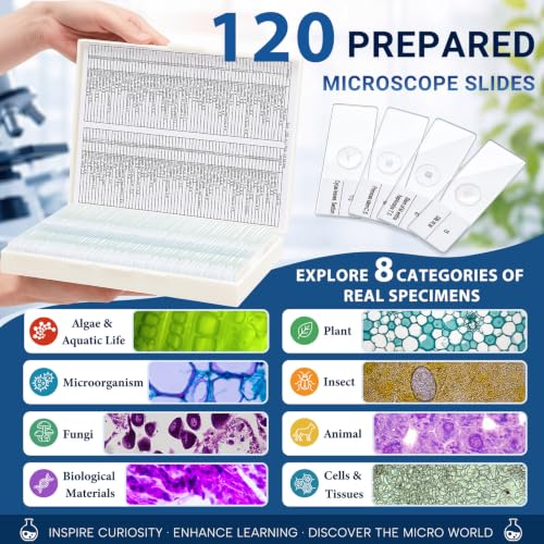 Tellegloww 120 Pcs Microscope Slides with Specimens for Kids & Students