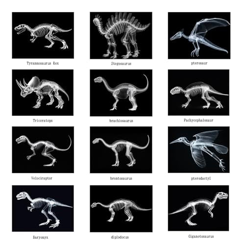 Animal X-Ray Set, Educational Science Kit, Light Table Accessory for Children (Dinosaurs) - style: Dinosaurs