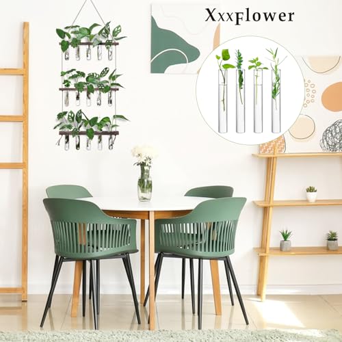 XXXFLOWER Glass Propagation Stations Accessories 4 Tube Vases - size: Size A