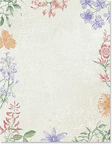 PaperDirect Botanical Palms Floral Border Papers, Green Palm Leaf Design, 8.5 x 11, Acid-Free, Ideal for Letters, Crafts, Invitations, Certificates, Cards, 25 Sheets - color: Botanical