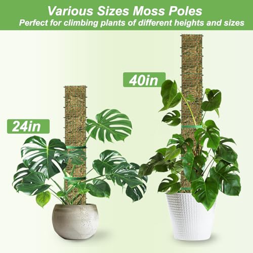 60"/40"/24" Metal Moss Pole, D Shape Sphagnum Moss Pole, Moss Poles for Climbing Plants, Monstera, Indoor Climbing Plants (3 Each of 40" 24") - style: 3 Each of 40" 24"