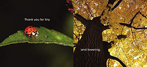 Thank You, Earth: A Love Letter to Our Planet – A Stunning Green Prize Photography and Poetry Book Winner About Nature and Science