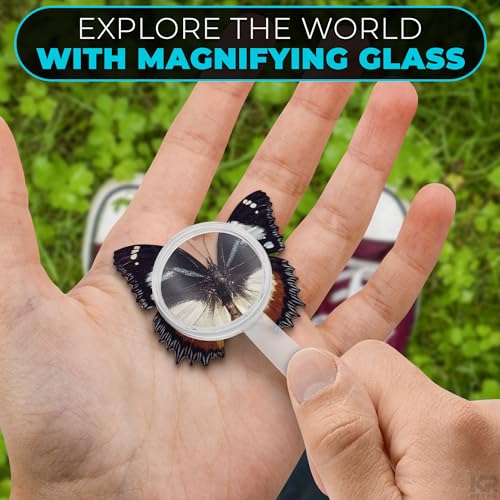20 Pcs Mini Magnifying Glass Bulk, 2.36 x 1.18 Inch, Clear Vision