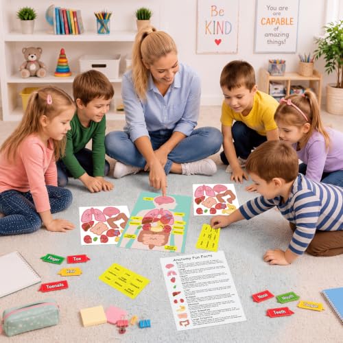 24 Set Anatomy Organ Sticker Set, Human Body System Learning Activity Board