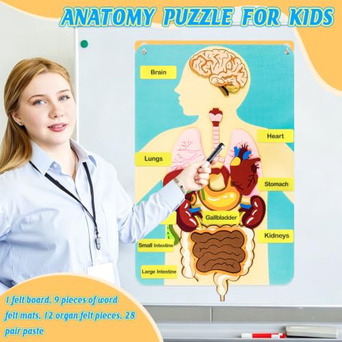 Human Body Parts Felt Board Stories for Kids, Body Model Teaching Puzzle