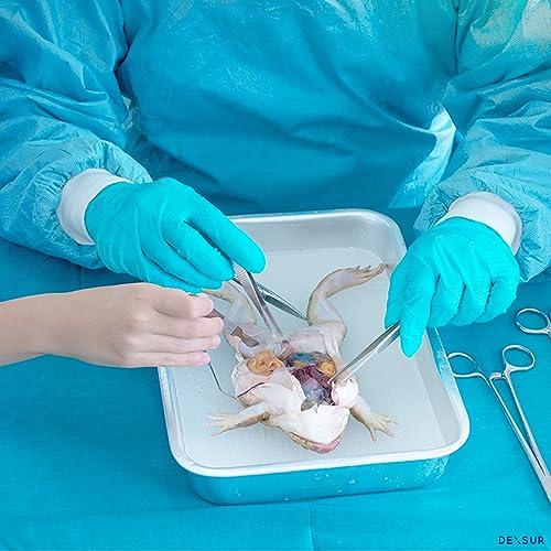 Dissection Kit for Biology Lab & Anatomy - Stainless Steel Scalpel Knife Set for Medical & Veterinary Students, KIT1025-10 Pcs - style: KIT1025 - 10 Pcs