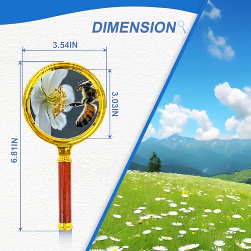 Suaika 10x Handheld Magnifier, 90mm, Gold Handle - size: 90mm
